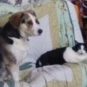 Fundraising Page: lynn bailey